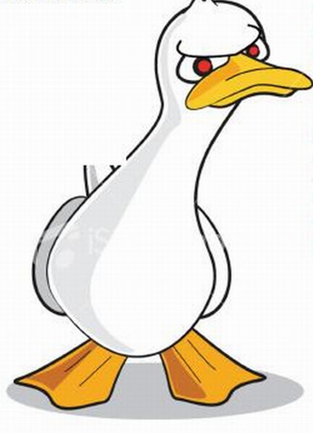 Cartoon Mother Duck